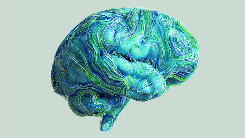 Nörodilbilim Eğitimi